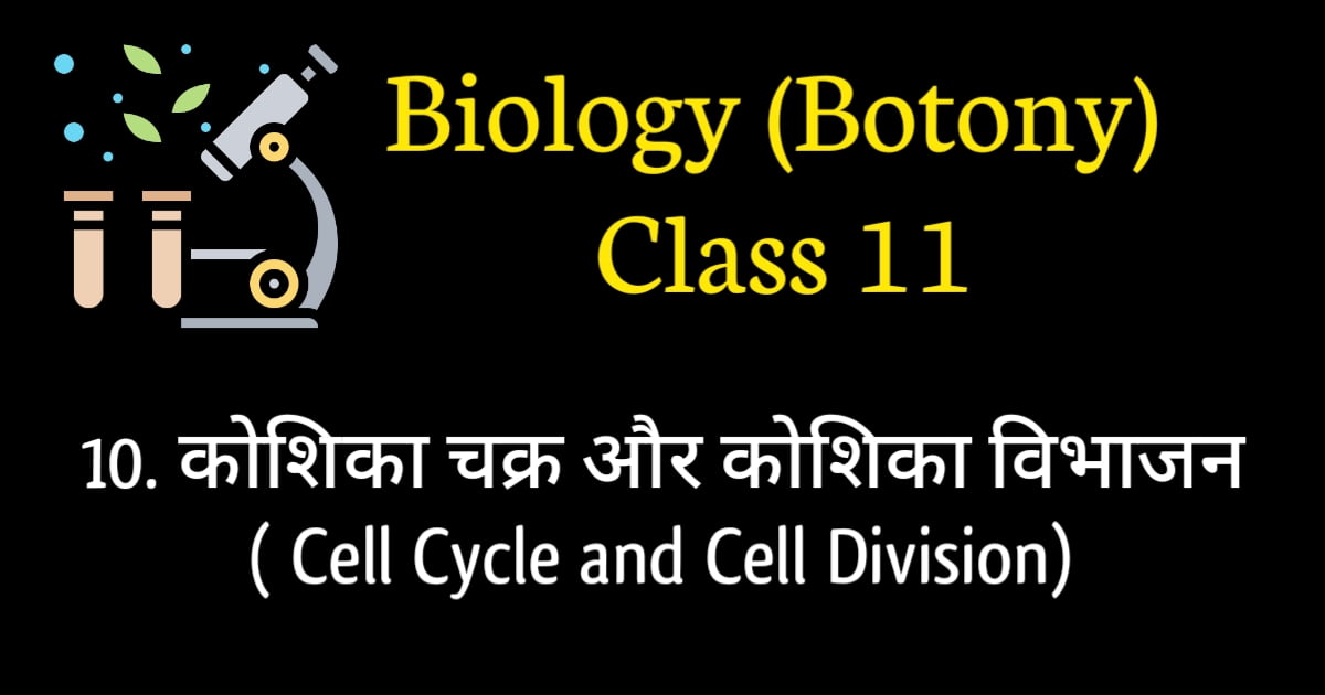 Neet Biology MCQ Cell Cycle and Cell Division 2025