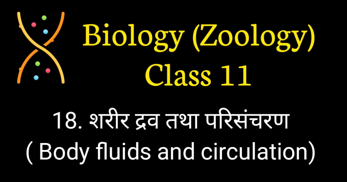 Body fluids and circulation MCQ