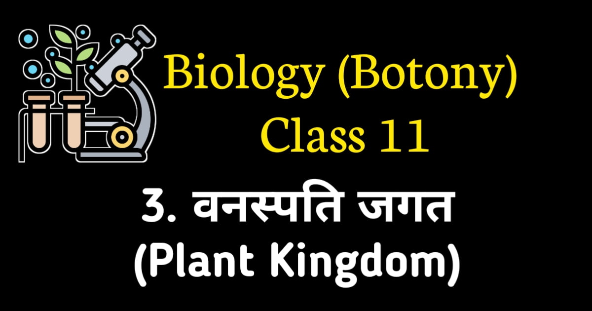 Plant Kingdom MCQ NEET