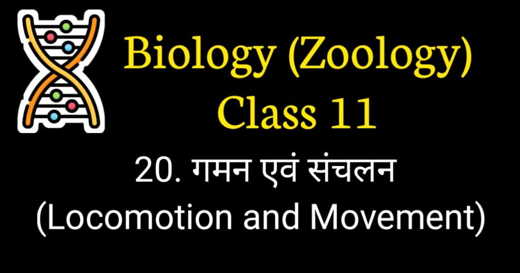 Locomotion and movement MCQ Neet