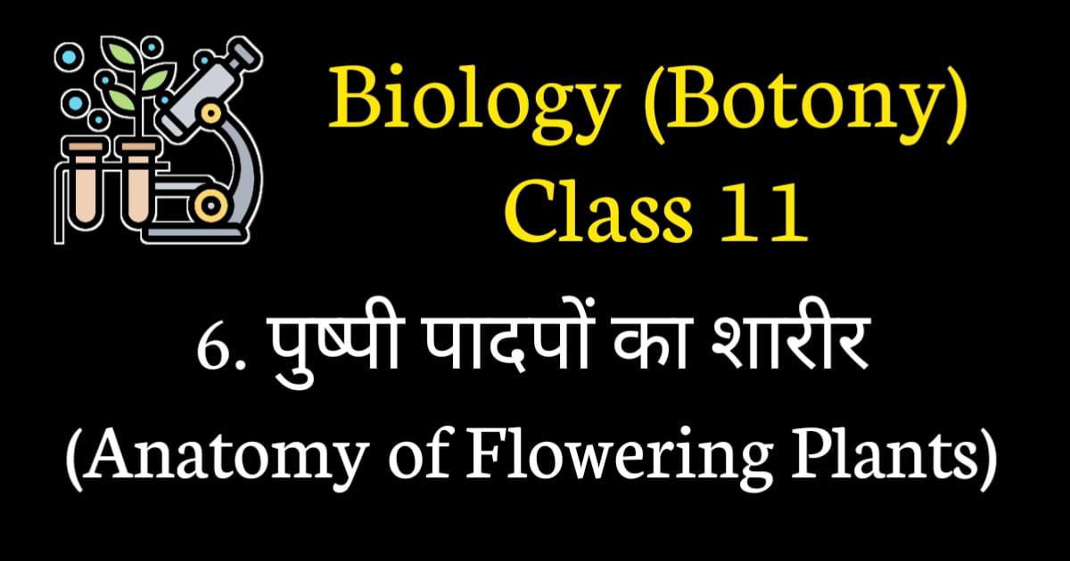 Anatomy of Flowering Plants Class 11 MCQ online Test
