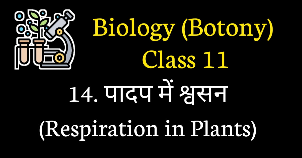 Respiration in Plants MCQ