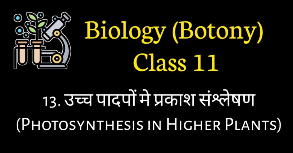 Photosynthesis in Higher Plants MCQ