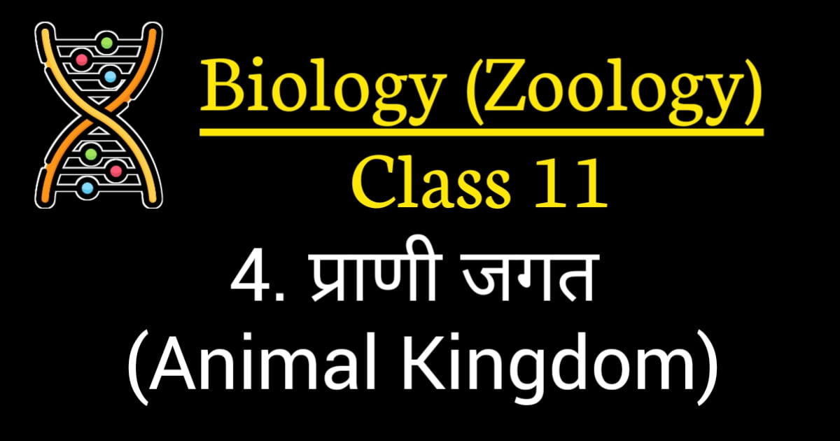 Animal Kingdom Class 11 MCQ