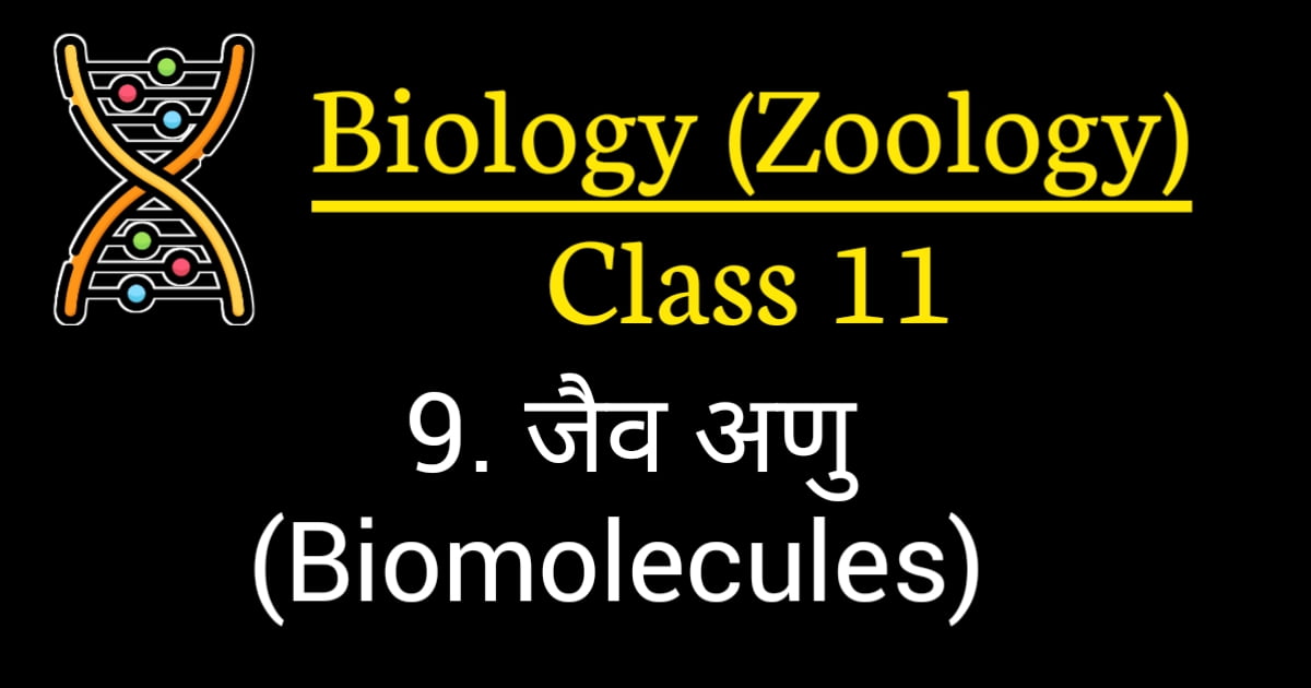 Biomolecules Class 11 NCERT MCQ