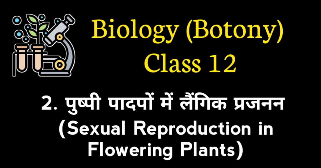 Sexual Reproduction in Flowering Plants MCQ