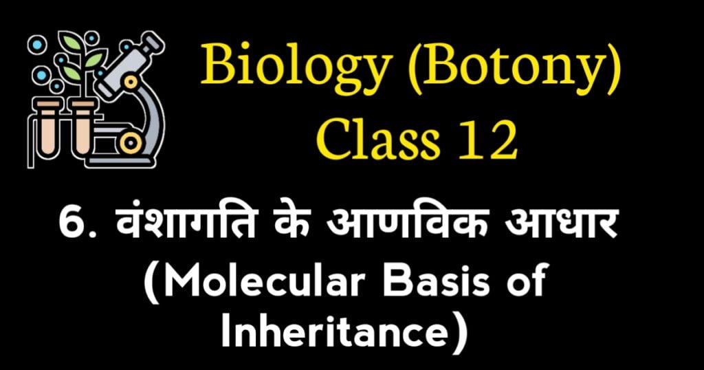 Molecular Basis of Inheritance MCQ