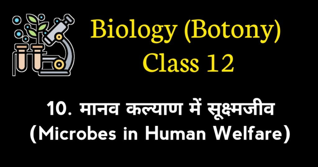 Microbes in Human Welfare MCQ