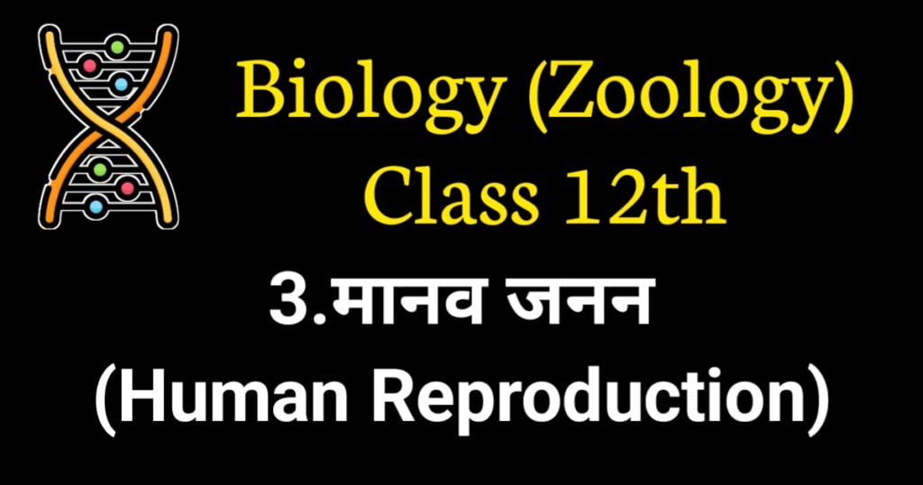 Human Reproduction MCQ